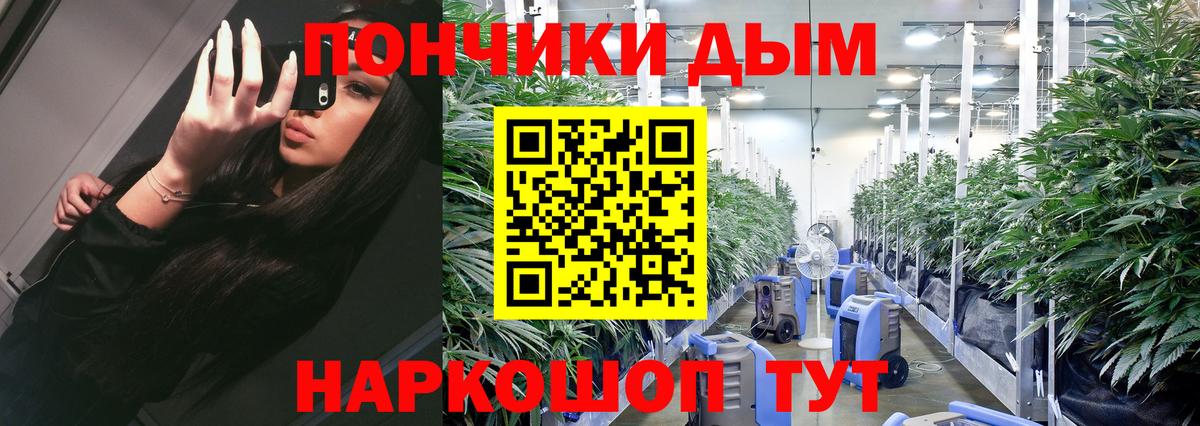 Канабис SATIVA & INDICA Балахна